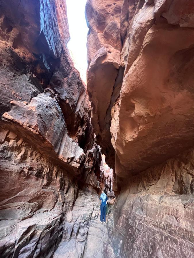 Wadi Rum Trip Exteriör bild